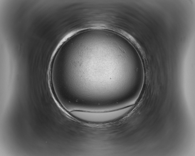 X0000087551432200704271200