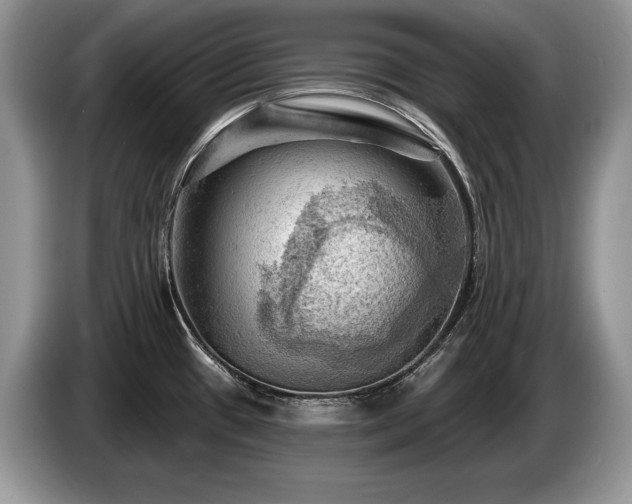 X0000087551433200704271200