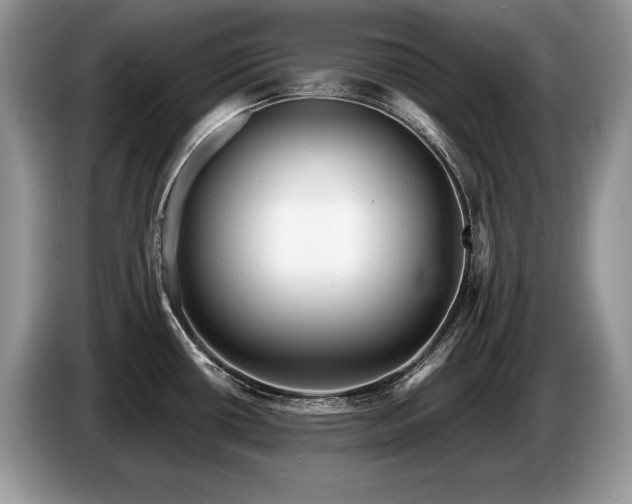 X0000087551434200704271200