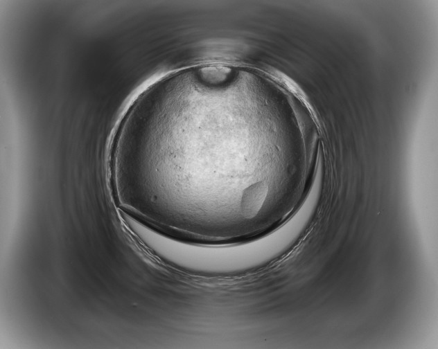 X0000087551435200704271200