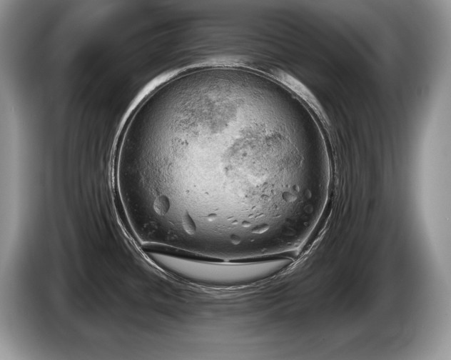 X0000087551436200704271200