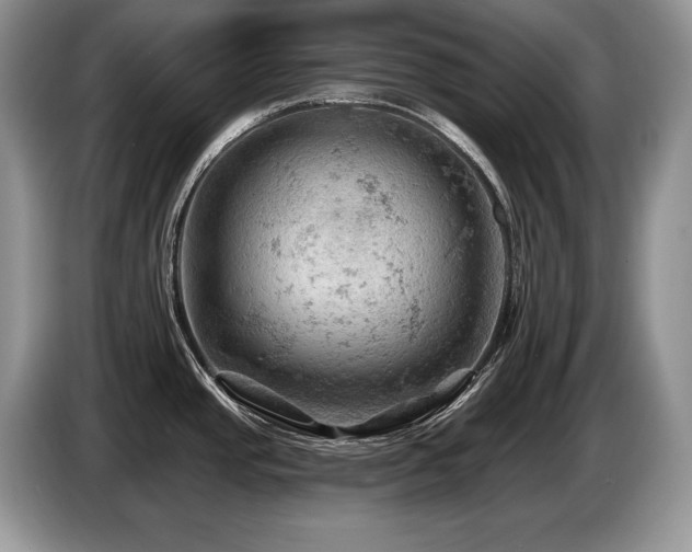 X0000087551437200704271200