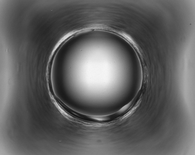 X0000087551438200704271200