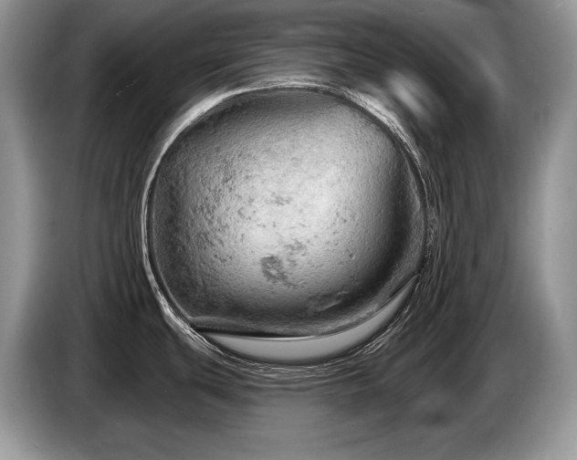 X0000087551439200704271200