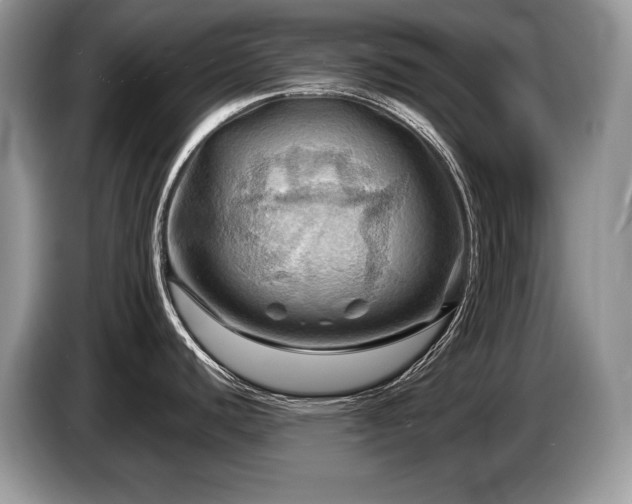 X0000087551440200704271200