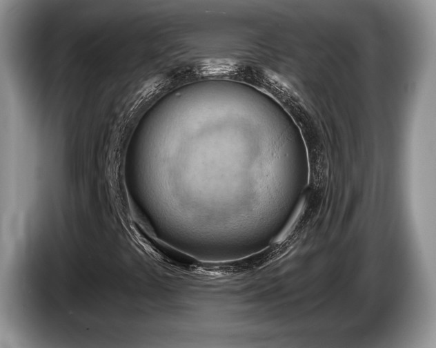 X0000087551441200704271200