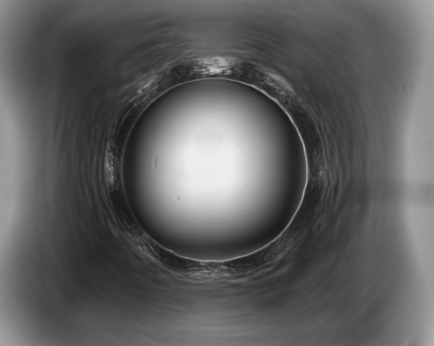 X0000087551442200704271200