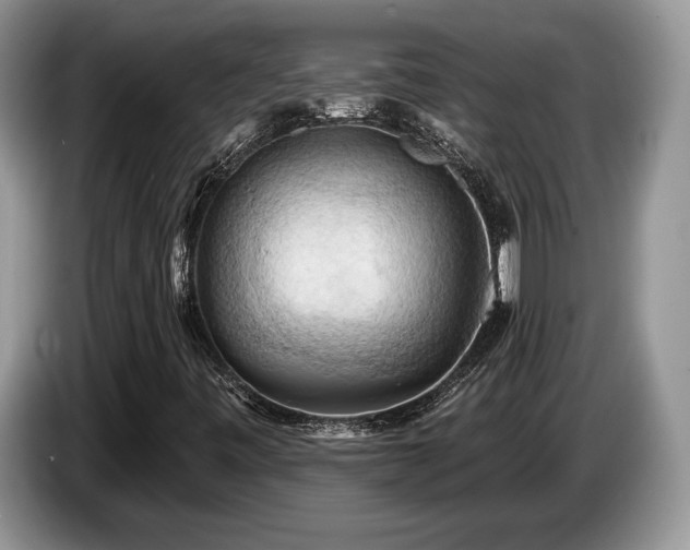X0000087551443200704271200
