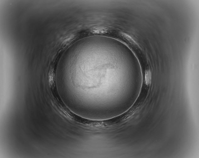 X0000087551444200704271200