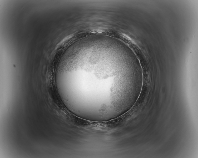 X0000087551446200704271200
