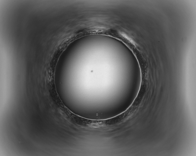 X0000087551447200704271200