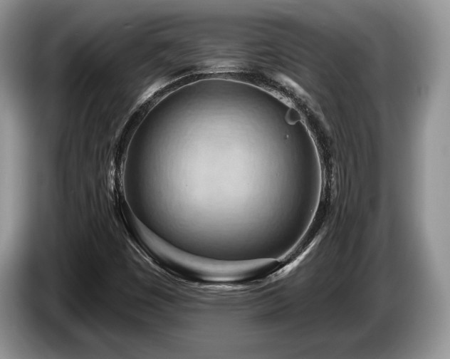 X0000087551449200704271200