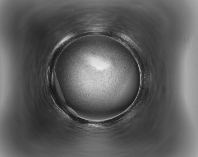 X0000087551450200704271200