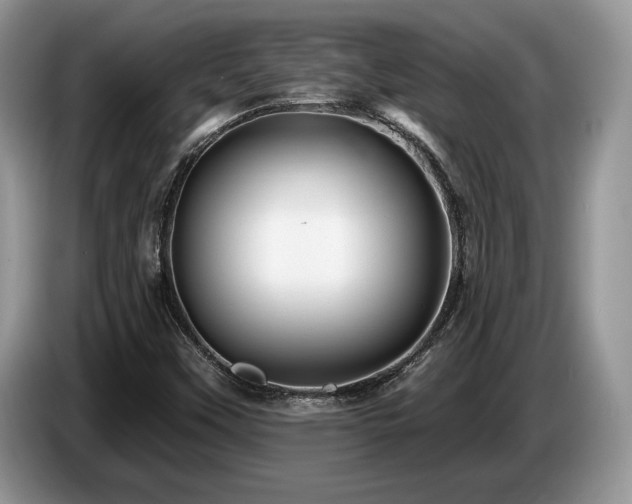 X0000087551451200704271200