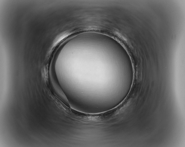 X0000087551453200704271200