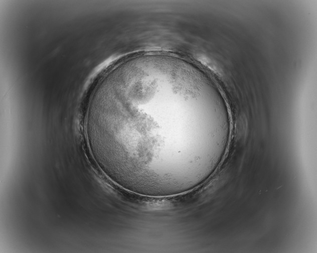 X0000087551454200704271200