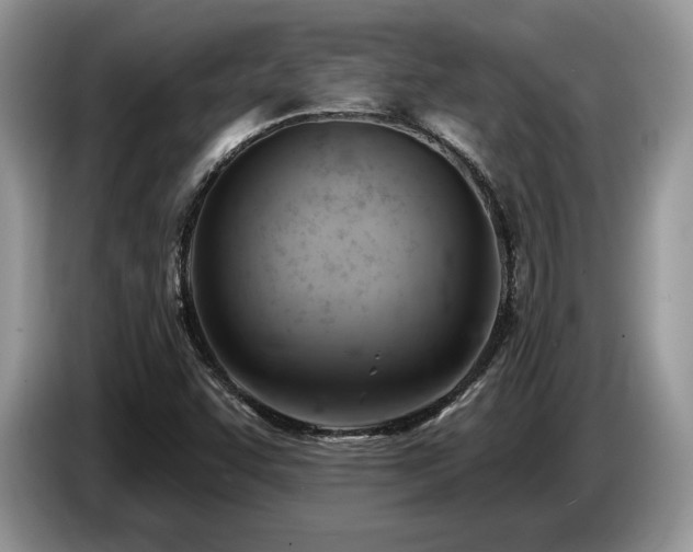 X0000087551455200704271200