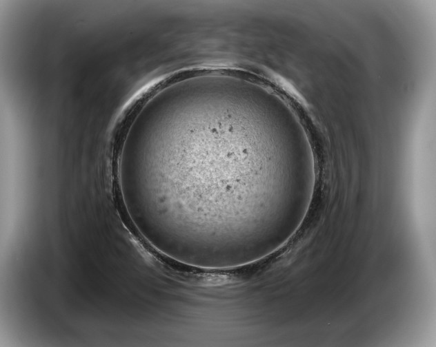X0000087551456200704271200