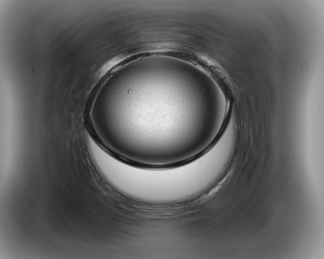 X0000087551457200704271200