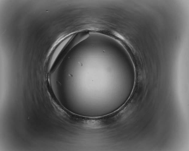 X0000087551459200704271200