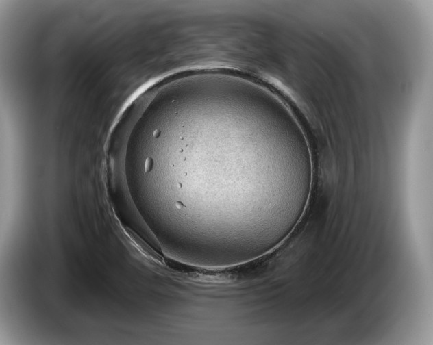 X0000087551460200704271200