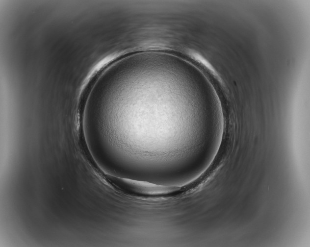 X0000087551461200704271200