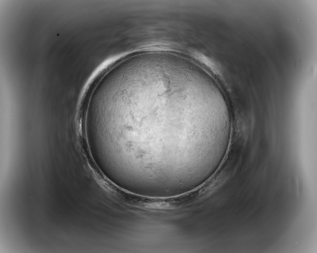X0000087551462200704271200