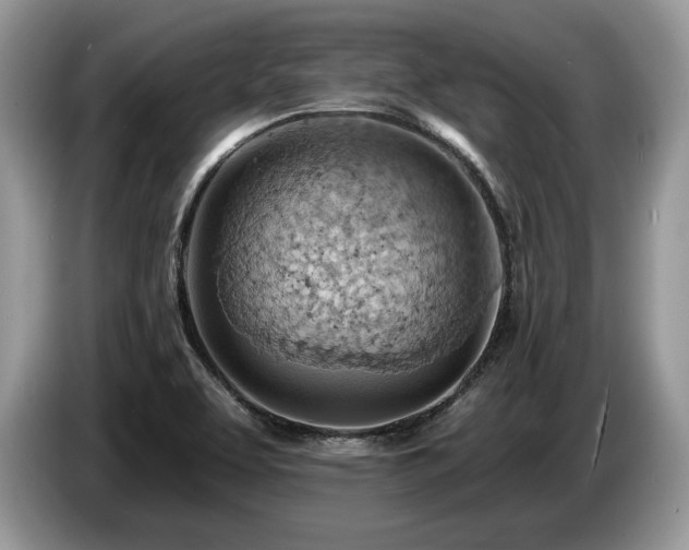 X0000087551463200704271200