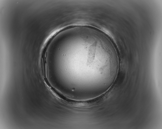X0000087551464200704271200