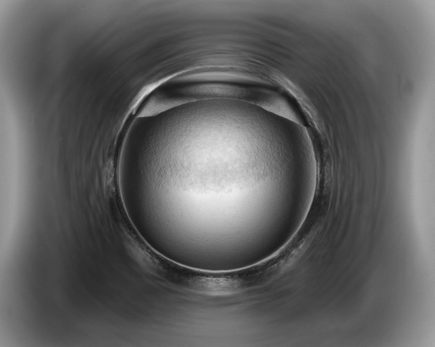 X0000087551465200704271200