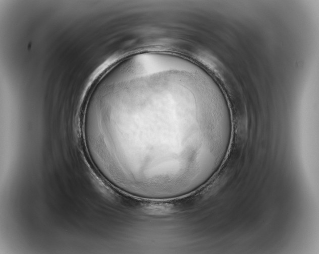 X0000087551466200704271200