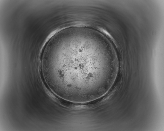 X0000087551467200704271200