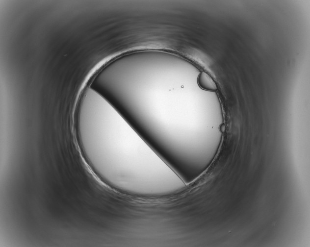 X0000087551468200704271200