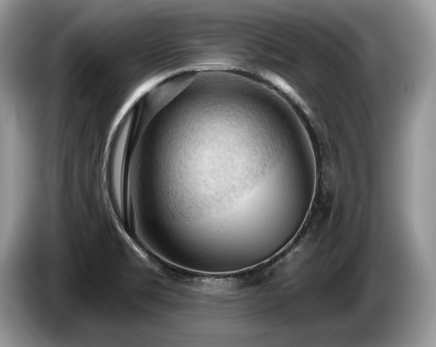 X0000087551469200704271200