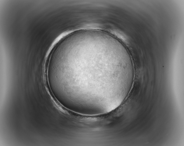 X0000087551470200704271159