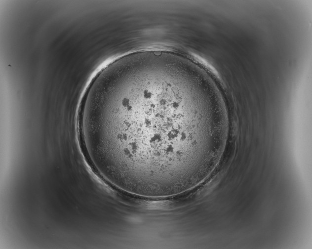 X0000087551471200704271159