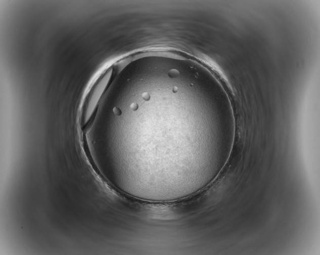 X0000087551472200704271159