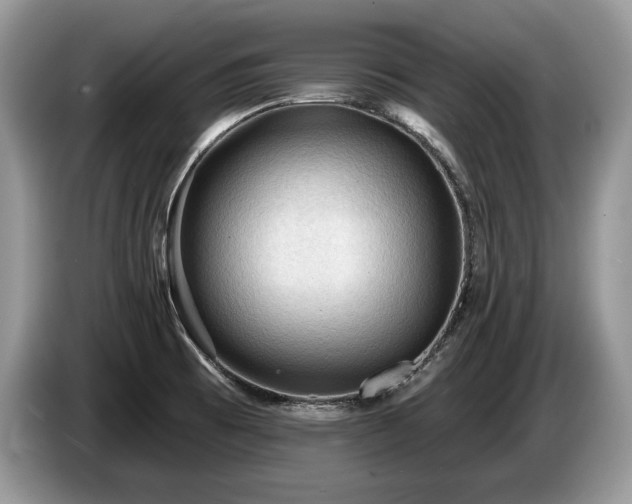 X0000087551473200704271159