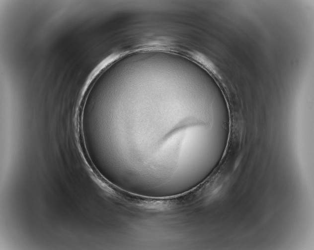 X0000087551474200704271159