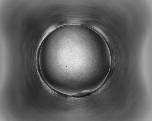 X0000087551475200704271159