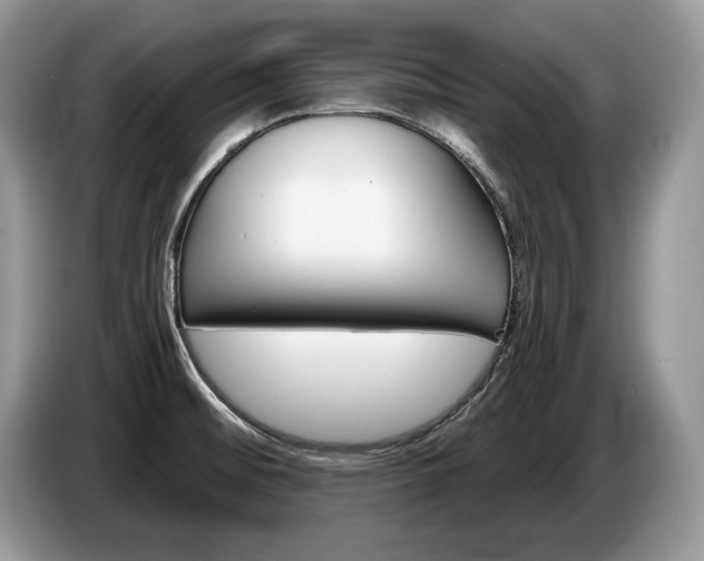 X0000087551476200704271159