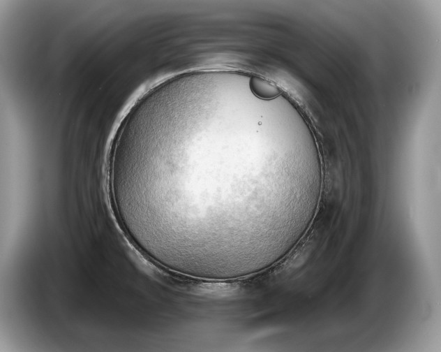X0000087551478200704271159