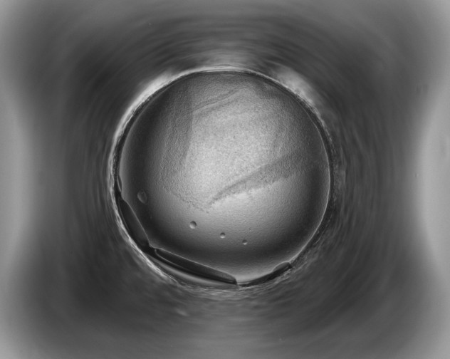 X0000087551480200704271159
