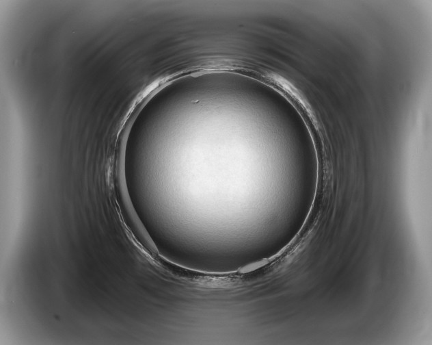 X0000087551481200704271159