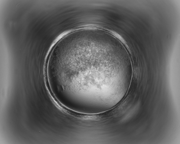 X0000087551482200704271159