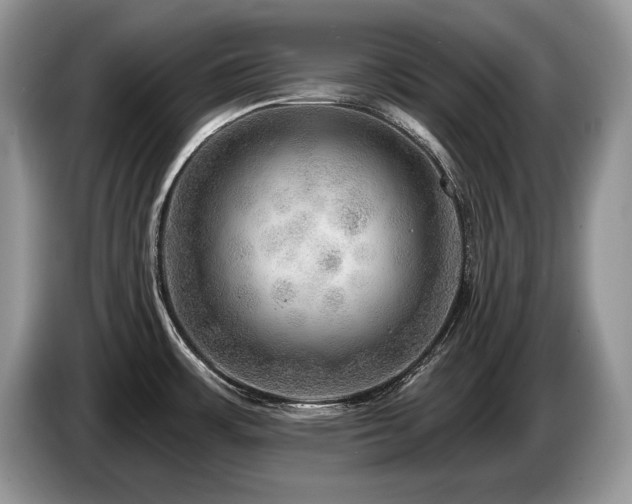 X0000087551483200704271159