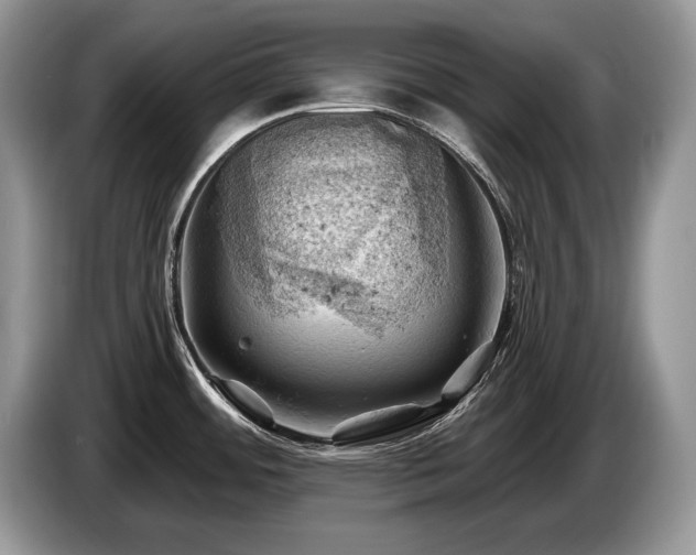 X0000087551484200704271159