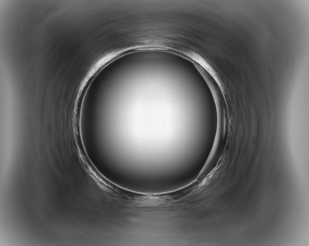 X0000087551485200704271159