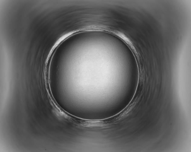 X0000087551486200704271159