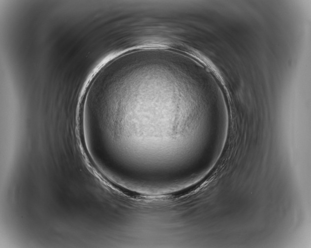 X0000087551488200704271159